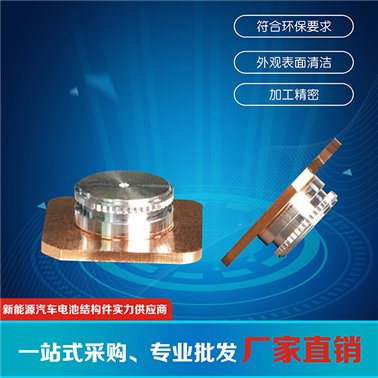 動(dòng)力電池極柱