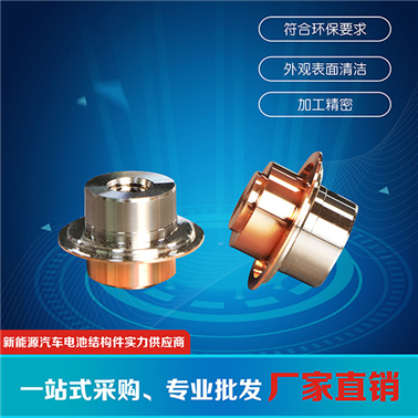 動(dòng)力電池極柱